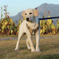 Derby Нейлонова двостороння тактична шлейка для собак Tactical Dog Harness M Хакі