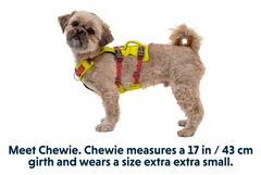 Легка шлейка для собак Ruffwear Flagline XXS 33-43 см Жовтий