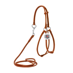 Collar Шлея з повідцем для собак шкіряна WAUDOG Soft з QR паспортом, кругла, Д 6 мм, А 42-60 см, В 46-64 см коричневий