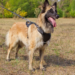 Шлейка для собаки Lockdog L(45-55 см) (zoo0005370)