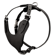 Шлейка для собаки Lockdog L(45-55 см) (zoo0005370)