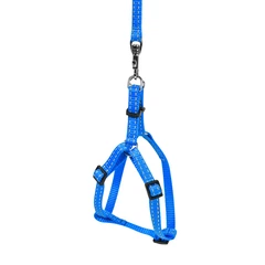 DOGextreme Шлея "Dog Extreme" з нейлону регульована з повідцем для котів, кроликів і морських свинок (ширина 10мм, В:28-40см) блакитний