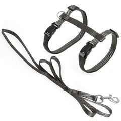 Повідець із шлейкою для котів Flamingo Cat Harness and Leash Ziggi, коричневий