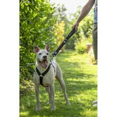 Gimborn GimDog Шлея GimDog для собак Harlem H чорна нейлон 67-90 см 25 мм