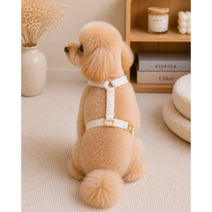 Без бренда Шлейка для собак Teddy Premium XS Multibrand 000354677