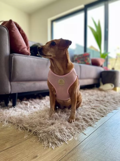 Шлея Chloe's Home Dakar рожева M