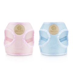 Шлея Chloe's Home Dakar блакитна XS