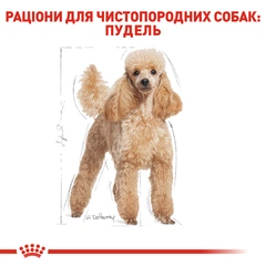 Royal Canin Корм з куркою для дорослих собак