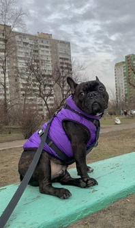 Повідець для собак WAUDOG Waterproof, водостійкий, чорний, розмір L-XXL, 500 см, 25 мм (27481)