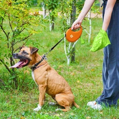 Повідець-рулетка для собак WAUDOG R-leash з контейнером для пакетів, світловідбивна стрічка, помаранчевий, розмір M, до 20 кг, 5 м (26284)