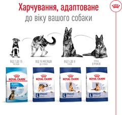 Royal Canin Корм з куркою для літніх собак великих порід