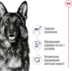 Royal Canin Корм з куркою для літніх собак великих порід