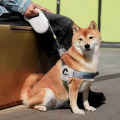Світловідбиваючий повідок-рулетка Kimpets для собак і котів до 20 кг, 5 метрів синій