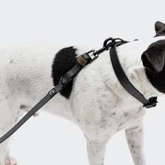 Біотановий повідець вільні руки для собак Cloud7 Hands-Free-Leash Ipanema Чорний 1,6 - 2,6 м One Size