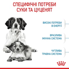 Royal Canin Корм з м'ясо птиці курка для собак середніх порід