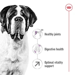 Royal Canin Корм з куркою для дорослих собак гігантських порід