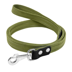Повідець для собак хб тесьма Collar 2.5 х 500 см Зелений