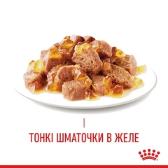 Royal Canin Вологий корм (шматочки в соусі) з м'ясо та м'ясні субпродукти риба для котів