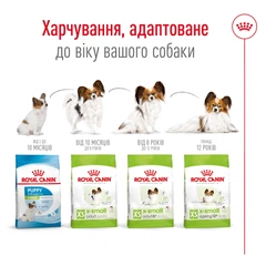 Royal Canin Корм з куркою для літніх собак мініатюрних порід