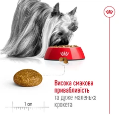 Royal Canin Корм з куркою для літніх собак мініатюрних порід