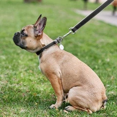 Повідець для собак великих порід (L–XXL) WAUDOG Soft чорний, шкіряний, плоский подвійний, довжина 122 см, ширина 25 мм, металевий карабін — арт. 7258
