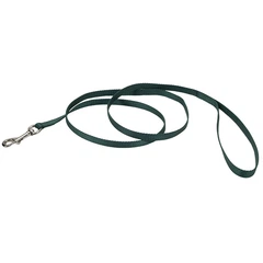 Повідець для собак Coastal Nylon Leash, Хакі, 1см*1.2м