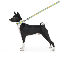 Повідець для собак Waudog Nylon Рік та Морті 1 L/XXL 25 мм Дл 122 см (4925-0280 Col)