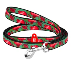 Повідець для котів/дрібних порід собак Waudog Nylon Гранати XS 10 мм х 122 см (369-4052 Col)