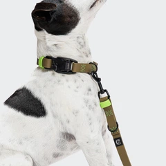 Біотановий повідець вільні руки для собак Cloud7 Hands-Free-Leash Ipanema Оливковий 1,6 - 2,6 м One Size