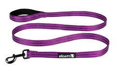 Повідець нейлоновий для собак Alcott S - фіолетовий