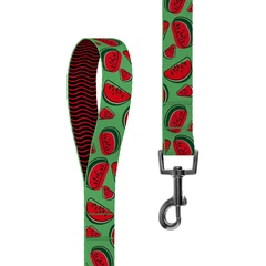Повідець для Собак BronzeDog Urban Fruits Нейлоновий Кавун 10 мм 152 см (59/8629)