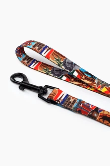 Hi Dog Повідець ТМ HIDOG Europe , ширина 16 мм (довжина 152 см) (2100102345011A)(SN) shop (2100102345011)