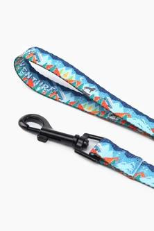 Hi Dog Повідець ТМ HIDOG Adventure , ширина 10 мм (довжина 152 см) (2100102300010A)(SN) shop (2100102300010)