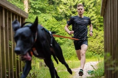 Non stop dogwear Повідець для собак Bungee leash Non-stop dogwear Чорний/Помаранчевий 2 м/23 мм