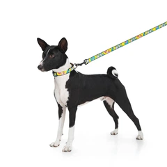 Collar Повідець для собак нейлоновий WAUDOG Nylon, малюнок "Рік та Морті 1", L-XXL, Ш 25 мм, Дл 122 см