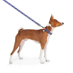 Collar Повідець для собак нейлоновий WAUDOG Nylon, малюнок "Рік та Морті 2", L-XXL, Ш 25 мм, Дл 122 см