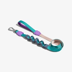 Повідець для собак Zee.Dog - Boogie Ruff Leash, S 2 см, 120 см