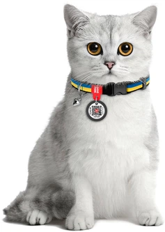 Нашийник для котів нейлоновий Collar WAUCAT з QR паспортом Colors of freedom пластиковий фастекс XS 20 - 30 см (5210-4020Collar)