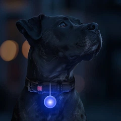 Collar Ліхтарик брелок WAUDOG LED USB для собак та котів у силіконовому чохлі