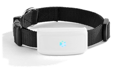 Tkstar Нашийник GPS Tracker Трекер для Собак ТКSТАR Модель: ТК-911, Вага 33гр., Захист IP66