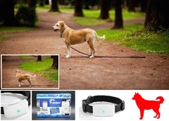 Tkstar Нашийник GPS Tracker Трекер для Собак ТКSТАR Модель: ТК-911, Вага 33гр., Захист IP66