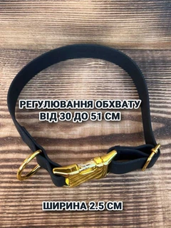 Без бренда Нашийник для собак біотановий із металевою фурнітурою 30-51 см колір чорний