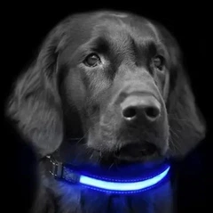 Без бренда Світиться LED нашийник, повідець для тварин собак і кішок чорний