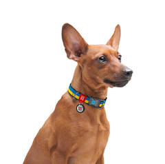 Collar Нашийник для собак нейлоновий c QR паспортом, малюнок - Прапор, розмір M (24-40 см), ширина 20 мм