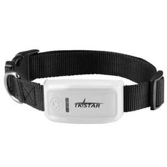 Без бренда GPS нашийник TKSTAR TK909