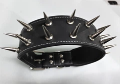 Шкіряний нашийник з шипами Lockdog M(30-44 см) 000240023