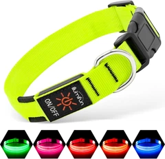 Світлодіодний нашийник для собак Illumifun LED USB (Розмір M) Green
