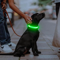 Світлодіодний нашийник для собак Illumifun LED USB (Розмір M) Green