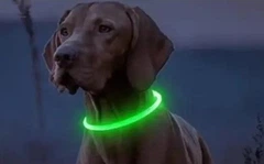 Grand Світлодіодний вологостійкий нашийник для собак USB, різні кольори підсвічування, регульований розмір, що світиться