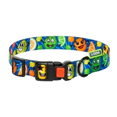Hi Dog Нашийник для собаки HiDOG Crazy blue fruits XS 10мм 18-28см (106/1058)